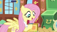 Fluttershy feeding S02E19