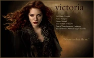 Twilight wallpaper 4