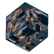 Twilight-movie-cullens-cube