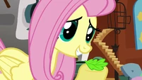 Fluttershy leaf S02E19
