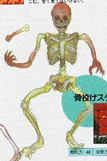 07orangeskeleton