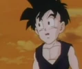 Gohan k