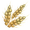 Oat Grain
