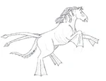 Kelpie 1