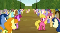 Fluttershy chosen S02E19