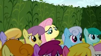 Fluttershy end row S02E19
