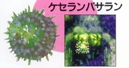 29plantpod