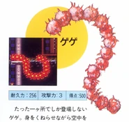 41centipede