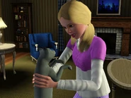 Cat and Sim