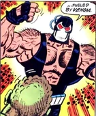 Bane-Killer's Bane