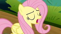 Fluttershy ahem S02E19