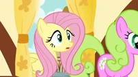 Fluttershy enter S02E19