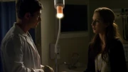 PLL223 (23)