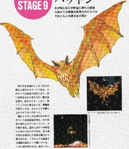 62jewelbat