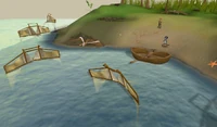 Crash island