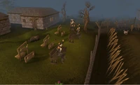 Fight Arena west