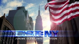 CSI NY Title