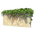Marketplace Ivy Brick Wall-icon.png