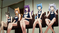 CatPlanetCutiesScreenshot4