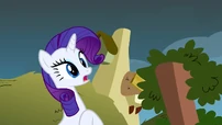 Rarity good grief S2E19