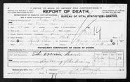 Olson-Peder 1896 death
