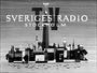 Sveriges Radio TV