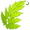 Fuzzy Fern Leaf
