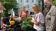Pferdwochenmarkt101 v-original