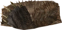 Bear Pelt