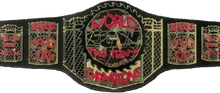 ECW World Tag Team Championship
