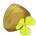 Clover Seed
