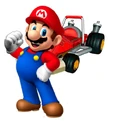 Mario mkcr