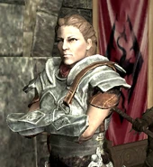 Rikke Civil War