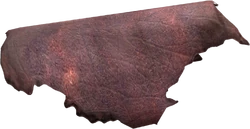 TESV Leather