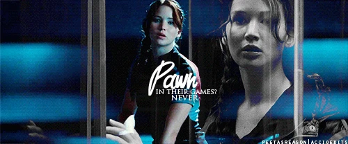 Hunger-Games-Fan-Arts-3-the-hunger-games-29595021-500-208