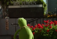 M11 Kermit defeated