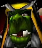 Portret Guldana W WarCraft III.jpg (21 KB)