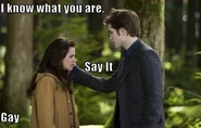 Funny-twilight-picture