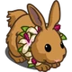 Hibiscus Rabbit-icon