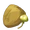 Funkus Spores