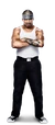 Hunico Full
