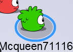 PP1