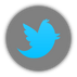 480px-Twitter icon.png