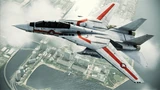 VF-1J Profile