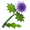 Crowned Thistle