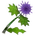 Crowned Thistle