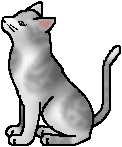 20120503193848!Ivypool.warrior.png