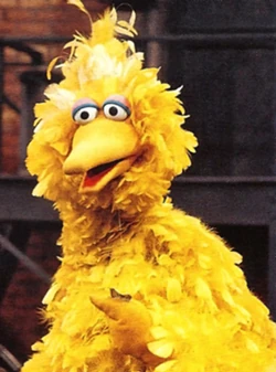 Bbirdmid'70s