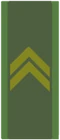 Srg Badge (SKB)