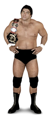 Don Muraco Full